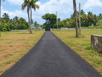 Image of 6534 Sq.ft Residential Plot / Land for sale in Puranattukara, Thrissur for Rs. 650000
