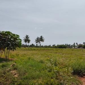 Image of 900 Sq.ft 1.5 BHK Farm House for sale in Perundurai, Erode for Rs. 200000