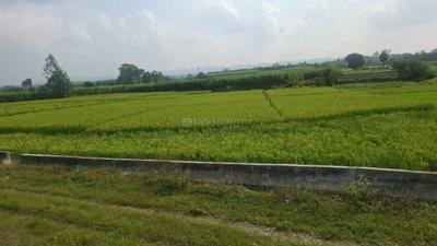 Image of 2485 Sq.ft Residential Plot / Land for sale in Dalanwala, Dehradun for Rs. 34300000
