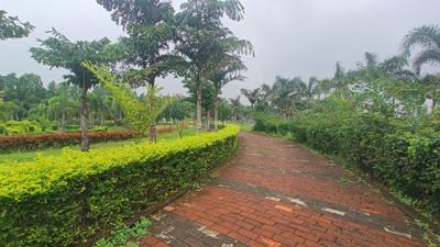 Image of 1000 Sq.ft Residential Plot / Land for sale in Kandul, Raipur for Rs. 3200000