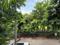 Wazidpur, Sector 130 Plot View 2