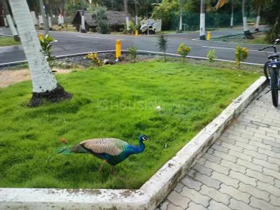 Image of 1000 Sq.ft Residential Plot / Land for sale in Chengalpattu, Chennai for Rs. 1350000