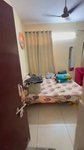 Bedroom Image of 500 Sq.ft 1 BHK Apartment / Flat for rent in Sector 63 Mohali for Rs. 25000