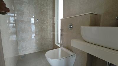 Bathroom Image of 620 Sq.ft 1 BHK Apartment / Flat for rent in Ashar Arize, Kalwa Thane for Rs. 28000