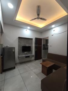 Hall Image of 695 Sq.ft 1 BHK Apartment / Flat for rent in Scheme No 114 Indore for Rs. 16999