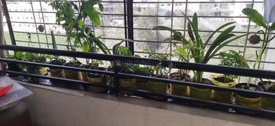 Balcony Image of 604 Sq.ft 1 BHK Apartment / Flat for sale in Vastu Vintage Phase 1, Chakan Pune for Rs. 2500000
