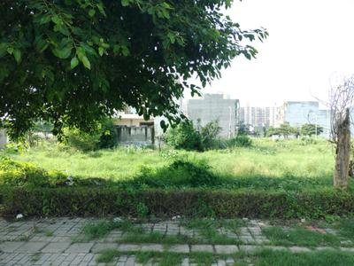 Sector 77 Plot View 1