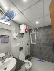 Image of 1450 Sq.ft 2 BHK Apartment / Flat for rent in Ambika LA Parisian , Sector 66, Mohali for Rs. 47000