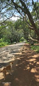 Image of 210 Sq.ft Residential Plot / Land for sale in Myron Dynasty, Vikarabad Town, Vikarabad for Rs. 4400000