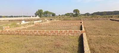 Chanp Plot View 1