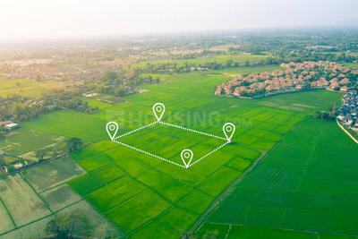 BOTTOM PRICE Plot View 1