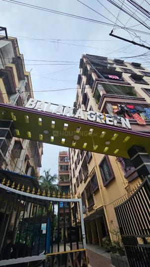 Balaka green Main Image 1