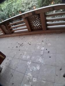 Balcony Image of 2250 Sq.ft 3 BHK Builder Floor for sale in Greater Kailash II New Delhi for Rs. 47500000