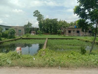 Residential plot Sonarpur Plot View 2