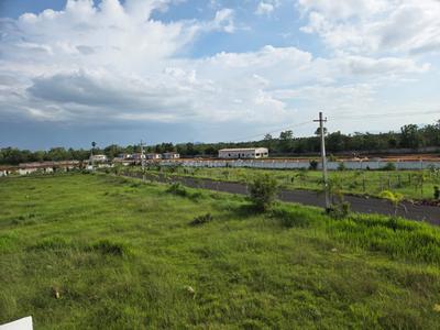 Image of 250 Sq.ft Residential Plot / Land for sale in Srungavarapu kota, Vizianagaram for Rs. 2750000