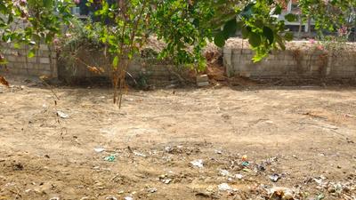7th Phase Plot View 2