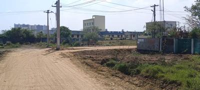 Plot View