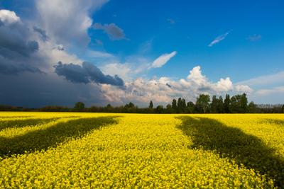 Image of 38632 Sq.ft Residential Plot / Land for sale in Ambli, Ahmedabad for Rs. 865478965