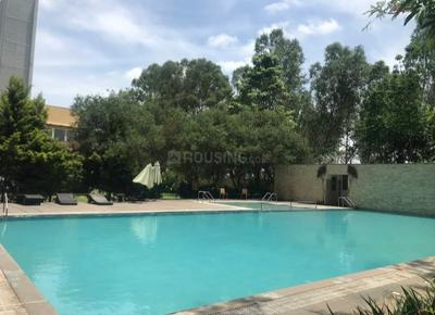 Image of 780 Sq.ft 2 BHK Apartment / Flat for sale in Kolte Patil Raaga, Kannuru, Bengaluru for Rs. 8350000