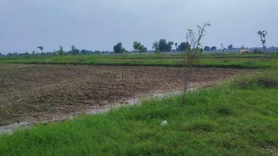Image of 1800 Sq.ft Residential Plot / Land for sale in Jewar, Greater Noida for Rs. 1600000