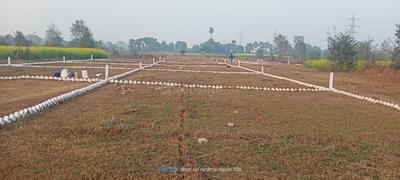 Bihta Plot View 1