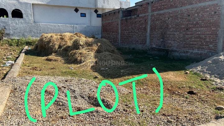 Nardani Bajwan Main Image 1