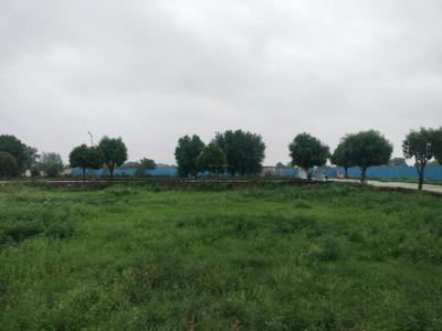 Image of 1260 Sq.ft Residential Plot / Land for sale in Soha Neal City, Sector 98, Faridabad for Rs. 18200000
