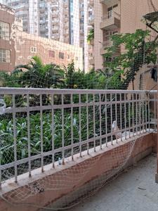 Bedroom One Image of 1150 Sq.ft 2.5 BHK Apartment / Flat for rent in Supertech Cape Town by Supertech Limited, Sector 74 Noida for Rs. 27000