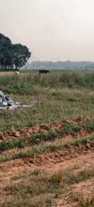 Image of 2610 Sq.ft Residential Plot / Land for sale in Namkum, Ranchi for Rs. 620000