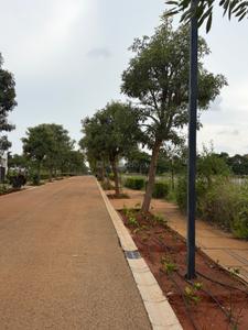Image of 3600 Sq.ft Residential Plot / Land for sale in Embassy Springs, Devanahalli, Bengaluru for Rs. 50400000