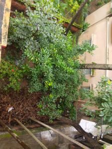 Image of 3000 Sq.ft 8 BHK Independent House for sale in Dhakuria, Kolkata for Rs. 25000000