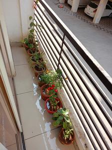 Balcony Image of Santam skyline  in Tarsali, Vadodara