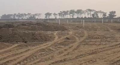 Image of 1000 Sq.ft Residential Plot / Land for sale in Rajgir, Nalanda for Rs. 699000