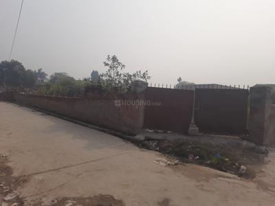 Mohammadpur Majri Plot View 2