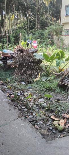 Rajarhat Chowmatha Main Image 1