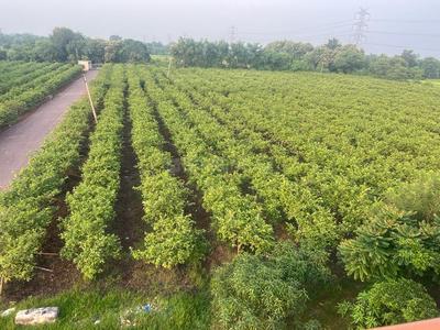 Image of 17200 Sq.ft Residential Plot / Land for sale in Kabir Nagar, Raipur for Rs. 4300000