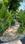 neelkanth Bungalows Plot View 2