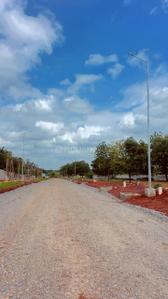 Myron Jade Plot View 3