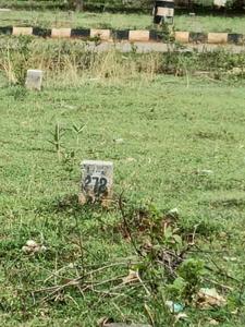 Residential Plot