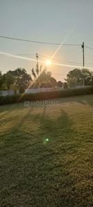 Image of 72 Sq.ft Residential Plot / Land for sale in New Moradabad, Moradabad for Rs. 3590000