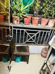 Balcony Image of 1017 Sq.ft 2 BHK Apartment / Flat for sale in Ognaj Ahmedabad for Rs. 4500000