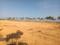 Adibatla Plot View 2