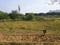 DLF Garden City Plots Main Image 1