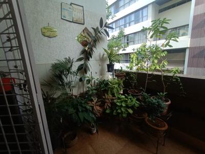 Balcony Image of 1600 Sq.ft 3 BHK Apartment / Flat for rent in Shivaji Nagar Pune for Rs. 80000