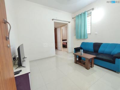 Hall Image of MY PG  in Ravet, Pune