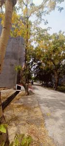 Image of 72 Sq.ft Residential Plot / Land for sale in Chandpur Bichpuri, Bareilly for Rs. 5500000