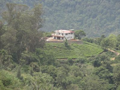 Image of 17440 Sq.ft Residential Plot / Land for sale in Coonoor, Nilgiris for Rs. 32000000