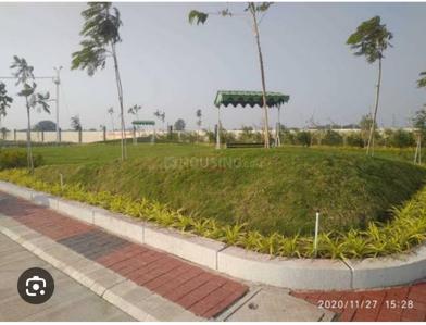 Tulip grande Plot View 3