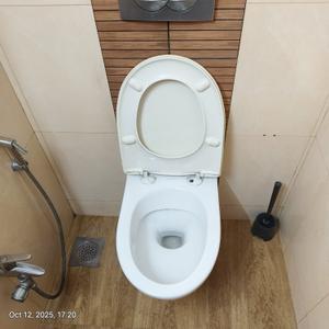 Image of 900 Sq.ft 2 BHK Apartment / Flat for rent in Solomon Apartments, Pali Hill, Mumbai for Rs. 135000