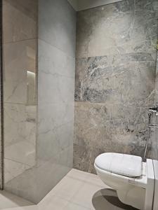 Common Bathroom Image of 1185 Sq.ft 2.5 BHK Apartment / Flat for sale in Shree Nivasa Elevia Phase I, Mundhwa Pune for Rs. 11200000